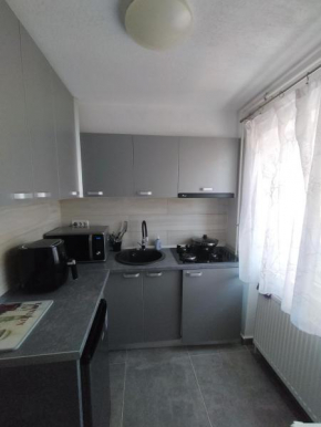 Romana Arad